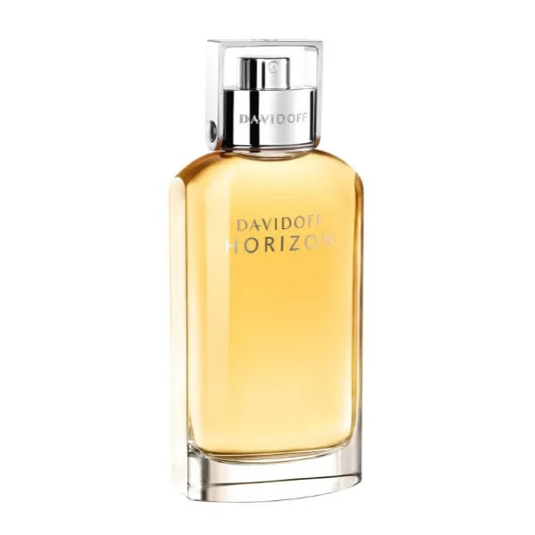 Davidoff Horizon EDT 125ml