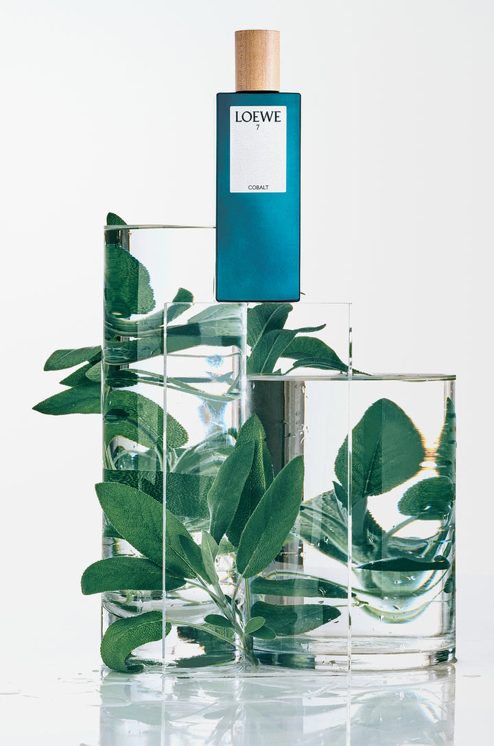 Loewe 7 Cobalt EDP 75ml